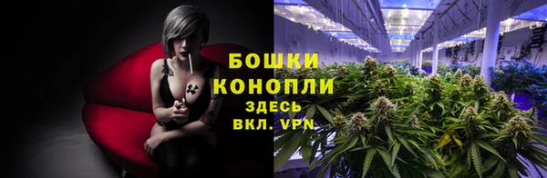 крисы Михайловка