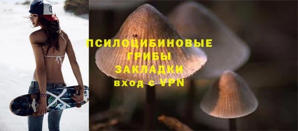 бутират Михайлов